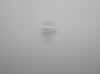 brouillard.JPG (25063 octets)