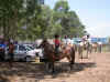 rodeo1.JPG (112311 octets)