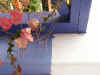 bougainville.jpg (113485 octets)