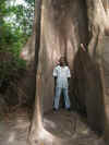 fromager.jpg (106631 octets)
