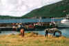 Roundstone.jpg (71302 octets)