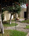 Jardin.jpg (102684 octets)