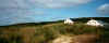 Gugh Paysage.JPG (60806 octets)