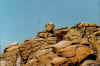 Rochers  Eastern Rocks.JPG (79202 octets)