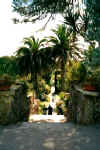 Tresco Jardin exotique.jpg (62684 octets)