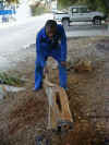 girafe 05.JPG (63332 octets)