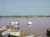 lac rose 01.jpg (63036 octets)