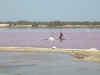 lac rose 03.jpg (53058 octets)