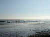 Baie de Poole 2.jpg (39294 octets)