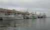 marine.jpg (99450 octets)