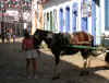 a paraty.JPG (103452 octets)